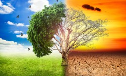 global-warming-climate-change-tree_1big_stock2-620x413