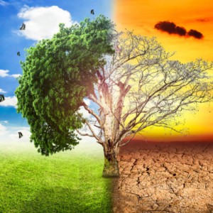 global-warming-climate-change-tree_1big_stock2-620x413 - Copy